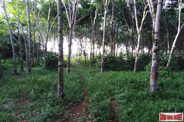Lush Tropical 13 Rai Rubber Plantation Near Waterfall and Beach in Phang Nga 2