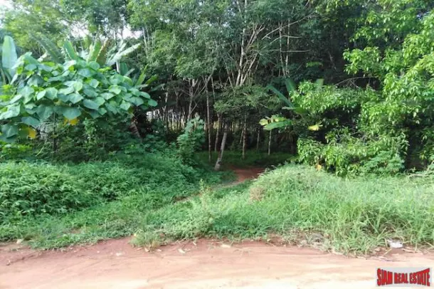 Land for sale in Phang Nga — Land · Phang Nga