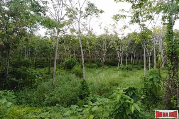 Land for sale in Phang Nga — Land · Phang Nga