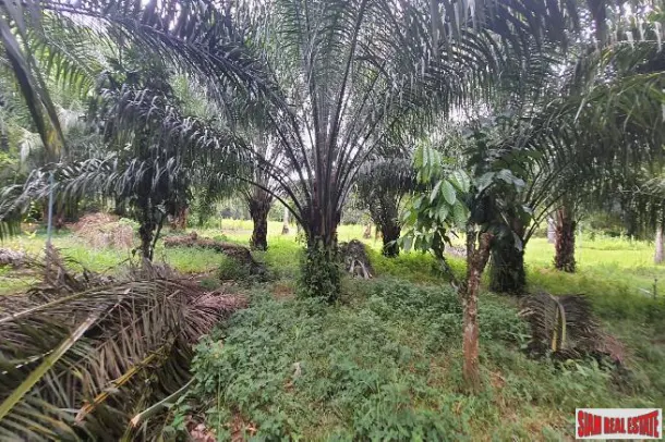 16.5 of land with profitable well water lake for sale in Takuapa, Phangnga 3