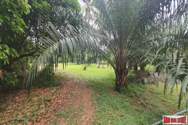 Land for sale in Phang Nga — Land · Phang Nga