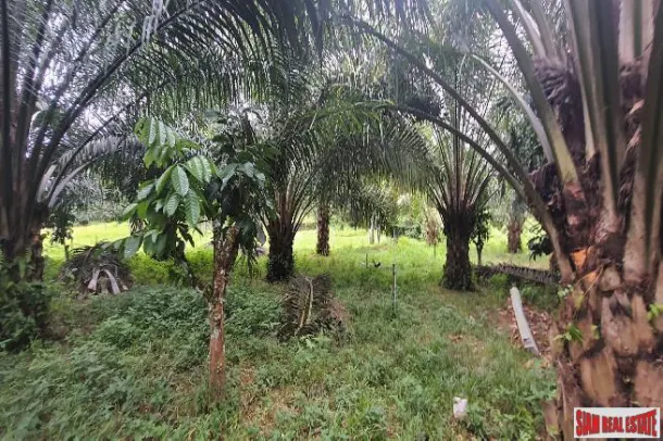 16.5 of land with profitable well water lake for sale in Takuapa, Phangnga 2