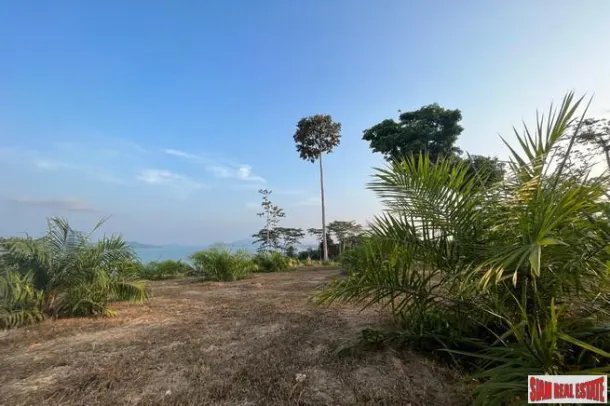 1.5 rai of palm plantation land with a hillside sea view for sale in Takua Thung, Phang Nga. 2