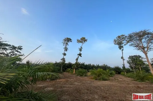 1.5 rai of palm plantation land with a hillside sea view for sale in Takua Thung, Phang Nga. 3