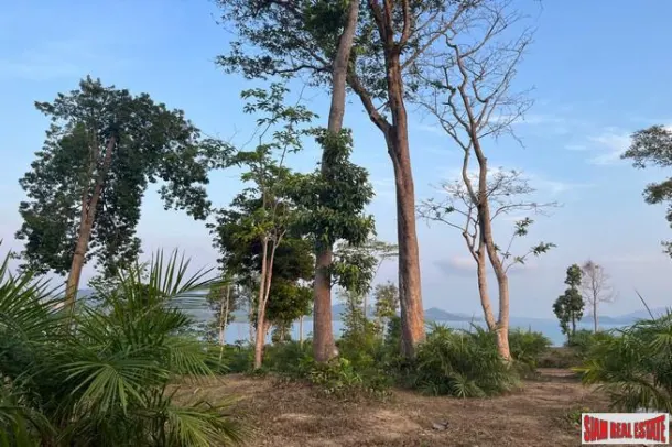 1.5 rai of palm plantation land with a hillside sea view for sale in Takua Thung, Phang Nga. 4
