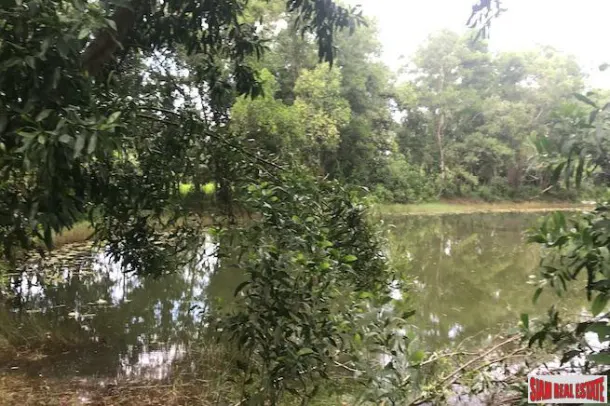 Phang Nga Large Land Plot in Khok Kloi Town and only a 5 Minute Walk to Natai Beach 2