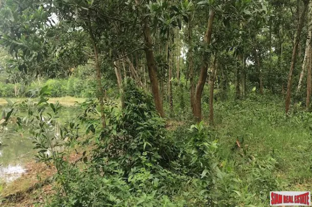 Phang Nga Large Land Plot in Khok Kloi Town and only a 5 Minute Walk to Natai Beach 4