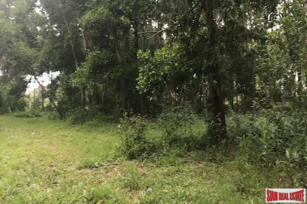 Phang Nga Large Land Plot in Khok Kloi Town and only a 5 Minute Walk to Natai Beach 3