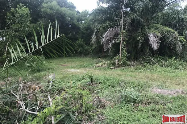 Land for sale in Phang Nga — Land · Phang Nga