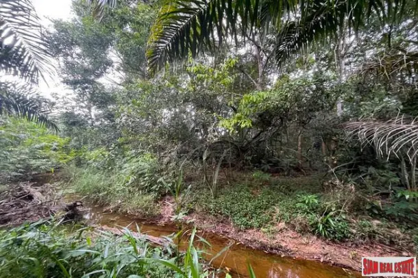Almost 45 Rai with full mountain view and surrounded by natural canal for sale in Phangnga 2