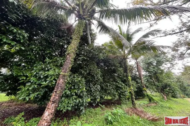 Almost 45 Rai with full mountain view and surrounded by natural canal for sale in Phangnga 3