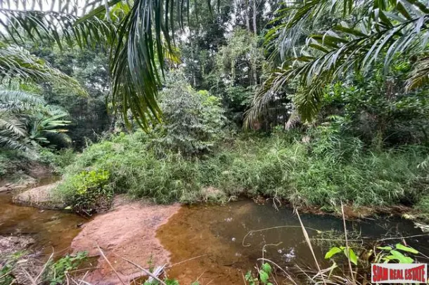 Almost 45 Rai with full mountain view and surrounded by natural canal for sale in Phangnga 4