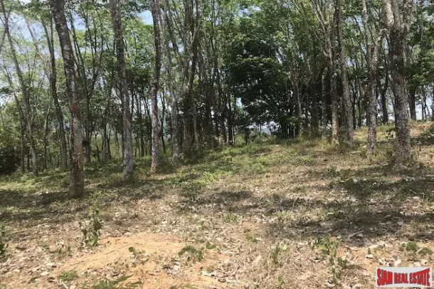 Phang Nga Bay Views from this Land Plot for Sale - Excellent Investment Opportunity 3