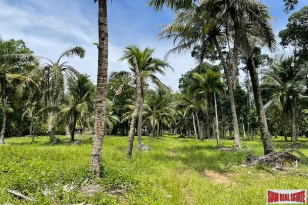 Land for sale in Pa Klok — Land · Pa Klok