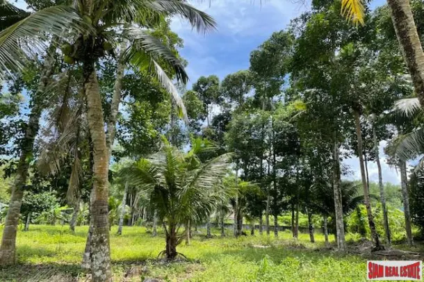15 Rai Land Plot with Nice Mountain Views for Sale in Pa Klok 2