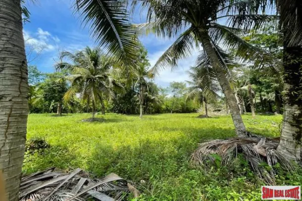 15 Rai Land Plot with Nice Mountain Views for Sale in Pa Klok 4