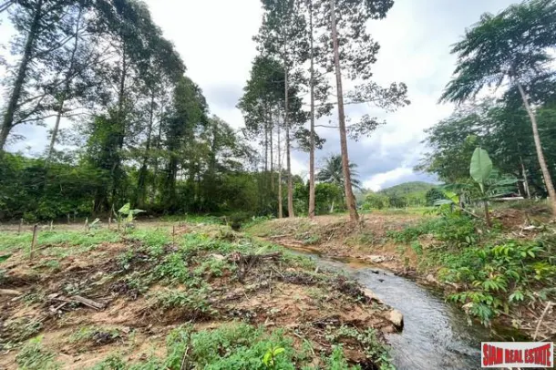 Land for sale in Phang Nga — Land · Phang Nga