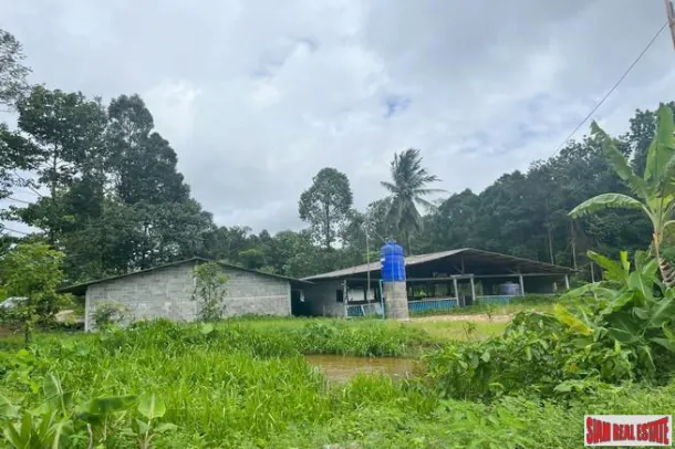 Prime location 98 Rai of land with economic crops near Sametnangshe viewpoint for sale in Phangnga 4