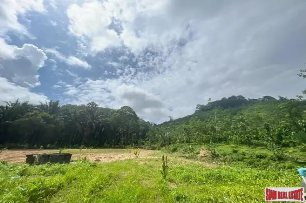 Prime location 98 Rai of land with economic crops near Sametnangshe viewpoint for sale in Phangnga 2