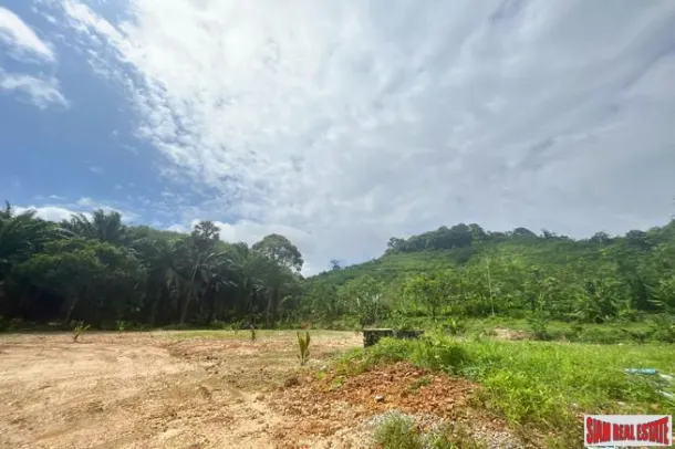 Prime location 98 Rai of land with economic crops near Sametnangshe viewpoint for sale in Phangnga 3