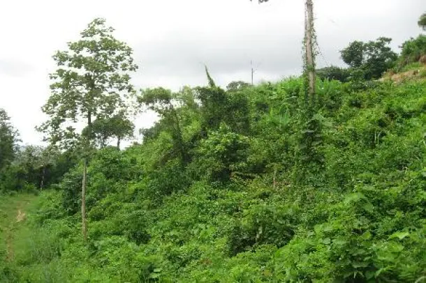 6 Rai of Hillside Land For Sale at Kathu, Phuket 4