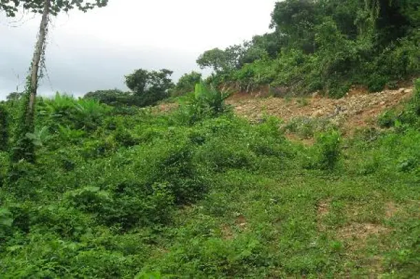 6 Rai of Hillside Land For Sale at Kathu, Phuket 2