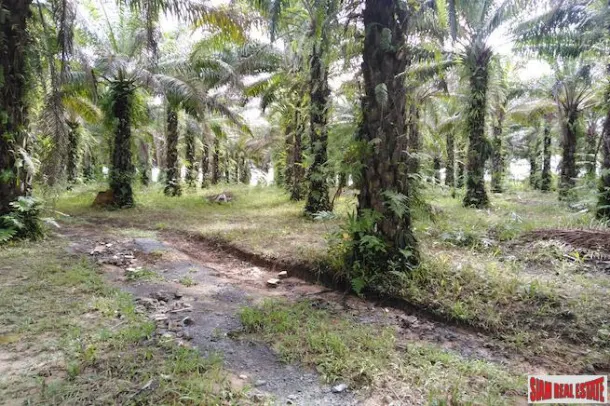 Land for sale in Phang Nga — Land · Phang Nga