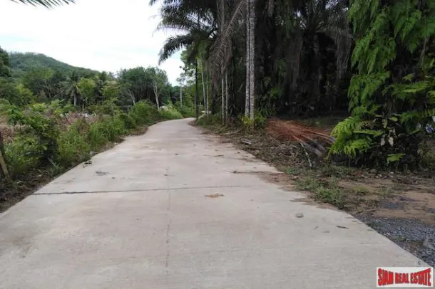Large Land Plot for Sale with Palm and Rubber Plantation 4
