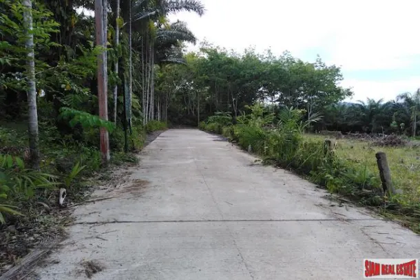 Large Land Plot for Sale with Palm and Rubber Plantation 3