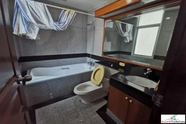 Grand Langsuan - Spacious Two Bedroom Pet Friendly Condo for Rent in Chit Lom 2