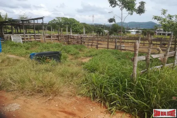 Over 25 Rai of Land with Sea Views for Sale in a Prime Mai Khao Location 3