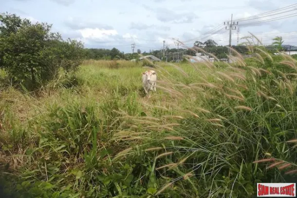 Over 25 Rai of Land with Sea Views for Sale in a Prime Mai Khao Location 4