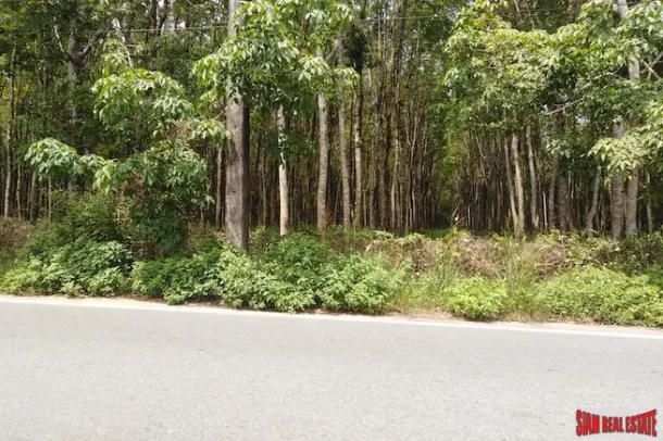 Huge 96 Rai Land Plot with Rubber Plantation 10 Minute Drive from Bang Muang Beach in Khao Lak 3