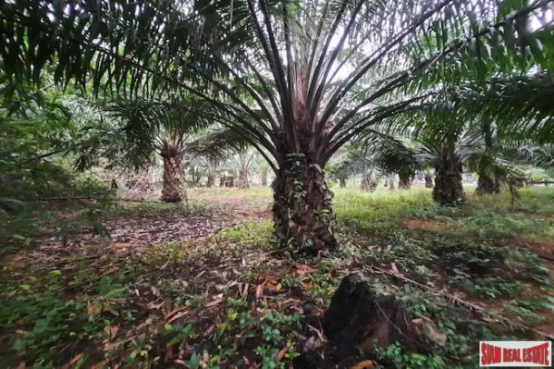 Exceptional 2 Rai Land Plot on Easy Accessible Corner Lot in Had Yao, Krabi 2
