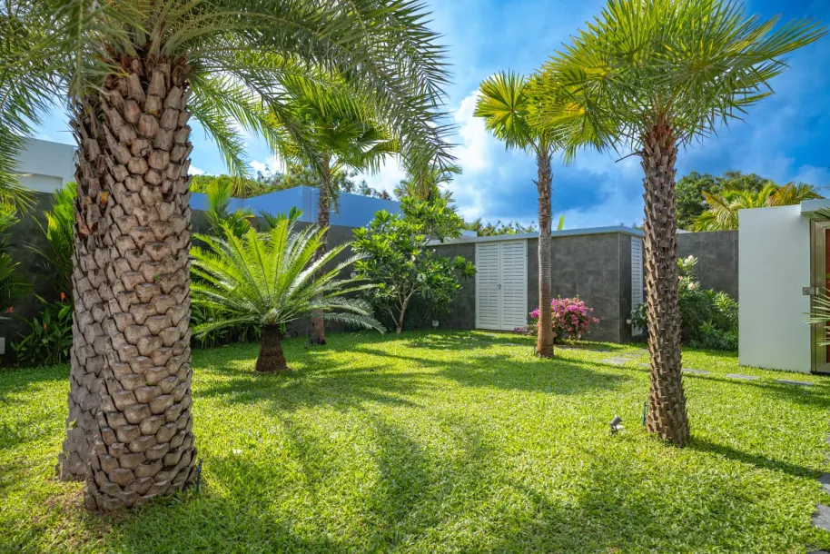 Modern Three bedroom Three Bathroom Pool Villa in Rawai 4