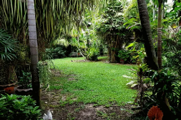 Big Beautiful 4 bedroom house and land for sale - South Pattaya 3