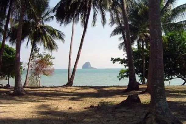 20 rai of Pristine Beachfront Island Land on Koh Yao Noi 4