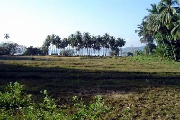 20 rai of Pristine Beachfront Island Land on Koh Yao Noi 3
