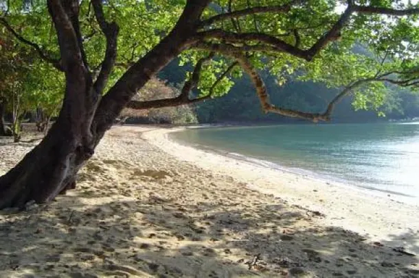 Land for sale in Koh Yao Noi — Land · Koh Yao Noi