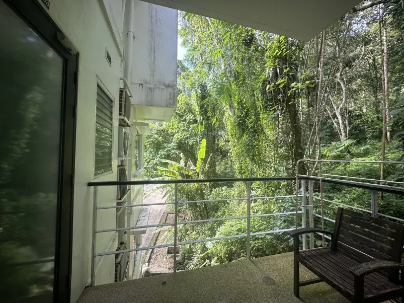 Kamala Hills - Fresh Two Bedroom Apartment for Rent in Natural Surroundings 4