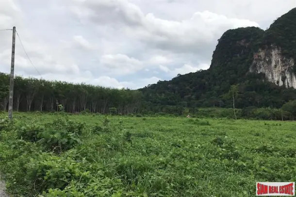 Over 16,000 sqm of Land for Sale in Nong Thaley, Krabi 4