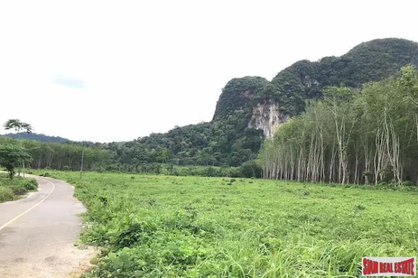 Over 16,000 sqm of Land for Sale in Nong Thaley, Krabi 3
