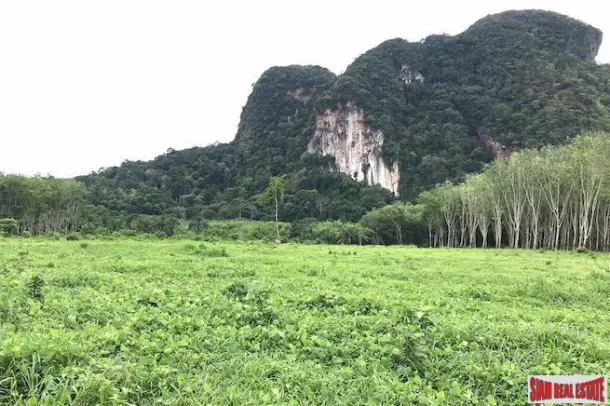 Over 16,000 sqm of Land for Sale in Nong Thaley, Krabi 2
