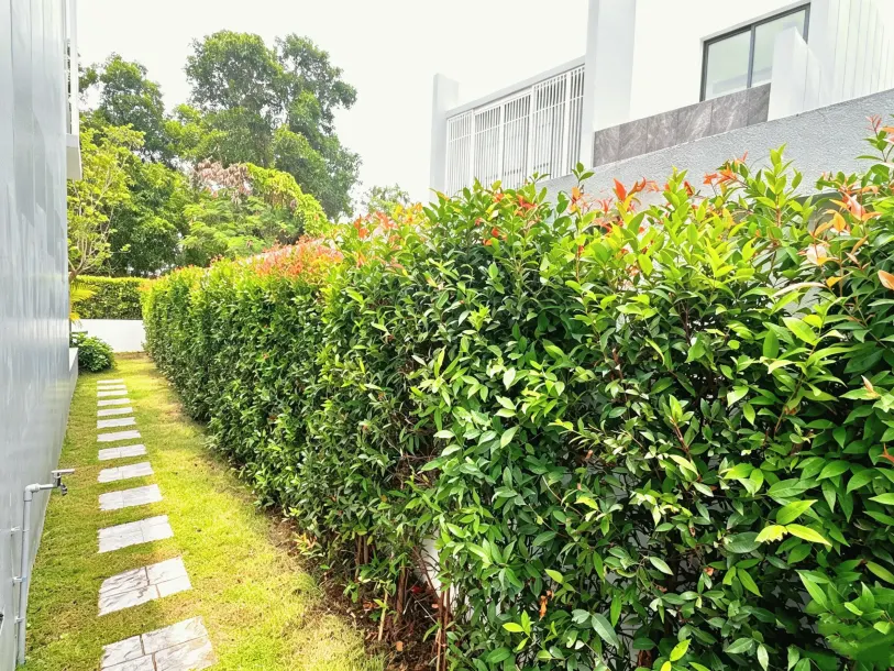 New Modern Four Bedroom Pool Villas for Rent in Chalong, Southern Phuket 3
