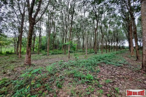 Over 10 Rai of Land for Sale with Rubber Plantation in Khao Thong, Krabi 2