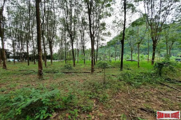 Over 10 Rai of Land for Sale with Rubber Plantation in Khao Thong, Krabi 3