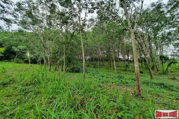 Over 10 Rai of Land for Sale with Rubber Plantation in Khao Thong, Krabi 4