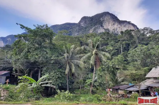 Over 16 Rai of Land for Sale in Khao Thong with Beautiful Krabi Mountain Views 4