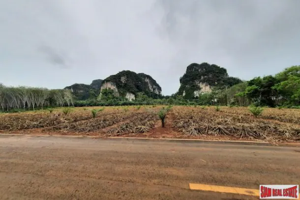 One Rai Square Shape Flat Land for Sale in Ao Nang, Krabi 4