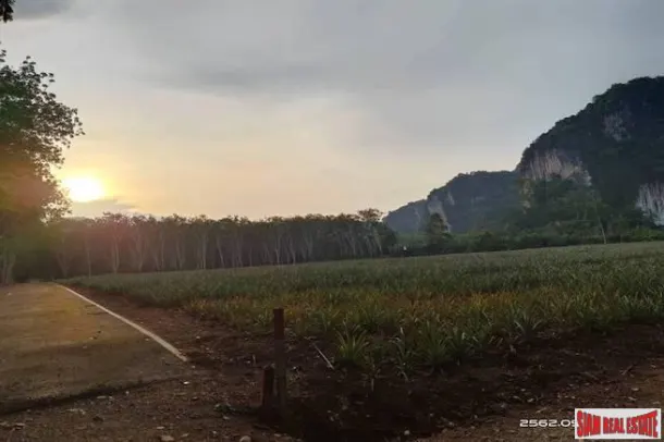 One Rai Square Shape Flat Land for Sale in Ao Nang, Krabi 3